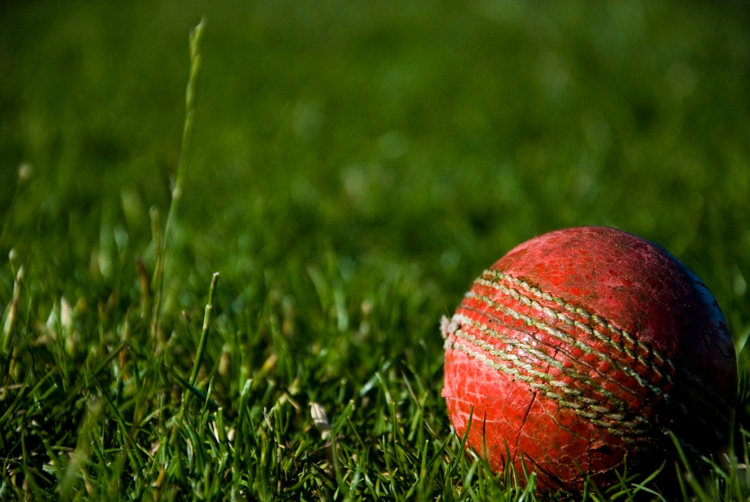 The Importance of Youth Cricket Education