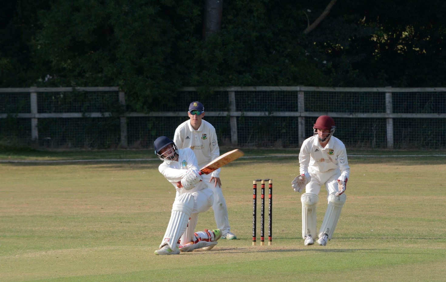 Celebrating the Achievements of Senior Cricketers